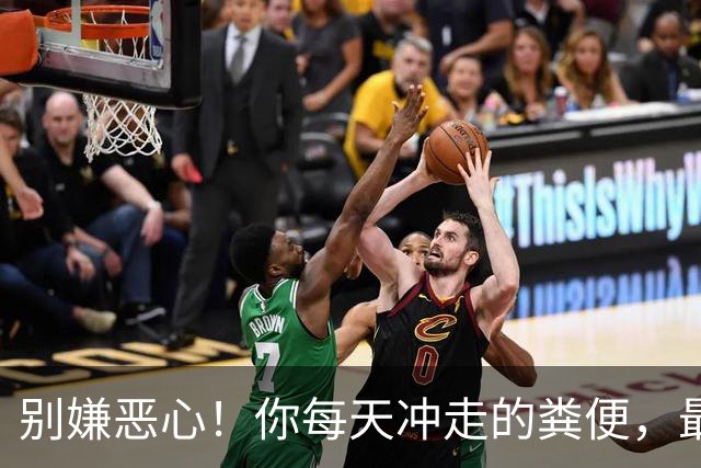 别嫌恶心！你每天冲走的粪便，最后竟全藏进城市这些秘密角落里！